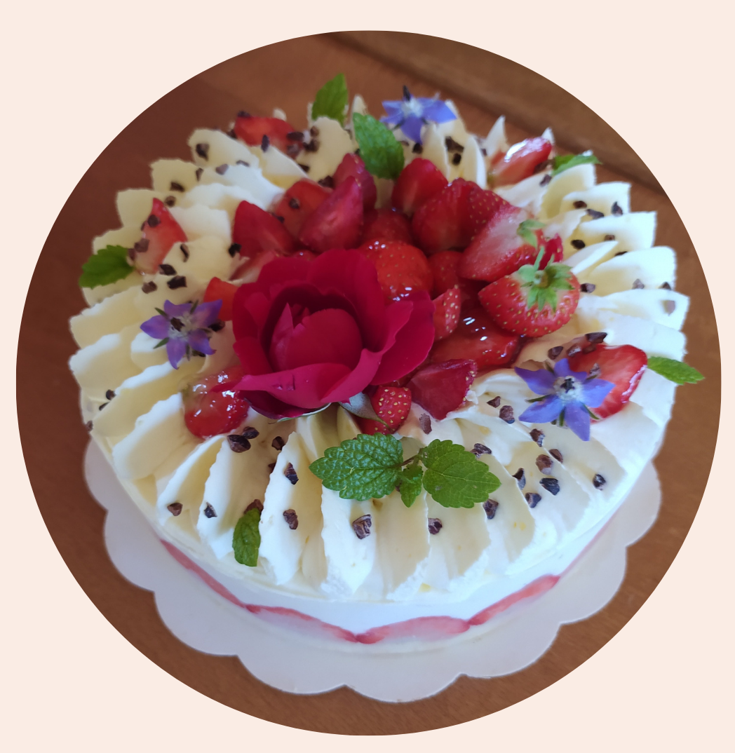 FRAISIER Fraisier